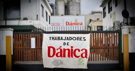 danica.jpg