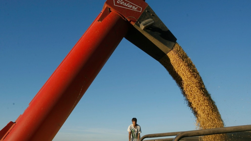 Las 10 principales exportadoras agrícolas de 2024