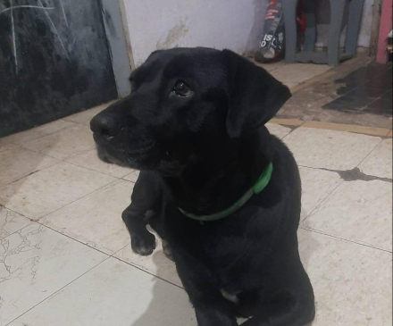 Wendy.jpg copy