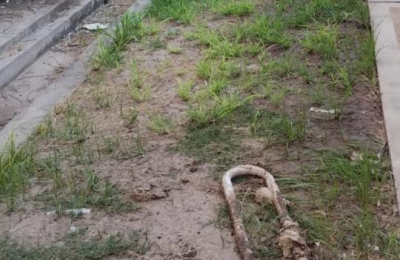 Los baños del Hospital 4 de Junio fueron objeto de vandalismo