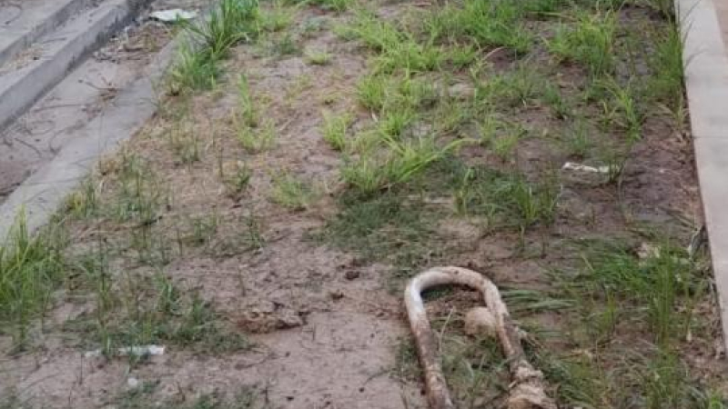 Los baños del Hospital 4 de Junio fueron objeto de vandalismo