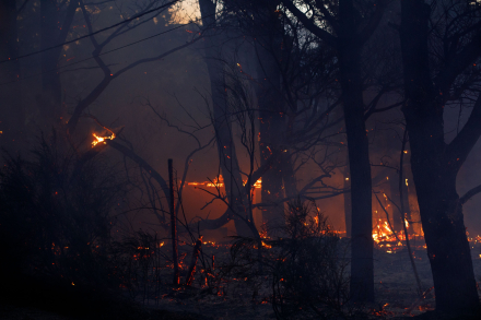 incendios forestales.jpg