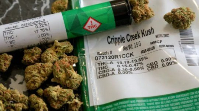 "El autocultivo va en contra del narcotráfico"
