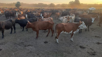 El abogado de Emerenciano Sena preso por el robo de vacas