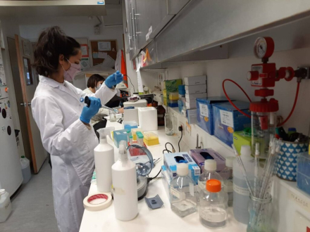 laboratorio-1024x768.jpg