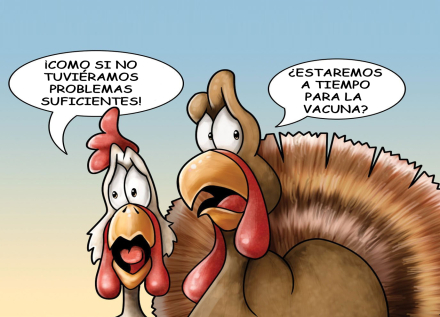 brid flu.jpg