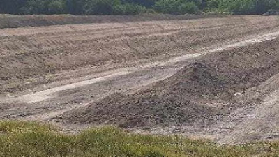 Los residuos de la industria algodonera podrían convertirse en una solución ambiental