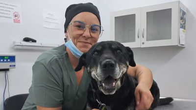Colocaron con éxito el primer marcapasos a un perro