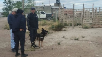 Un repartidor de biblias confesó que mató a una mujer junto a otro hombre