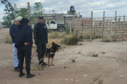el-cuerpo-incinerado-fue-hallado.jpg
