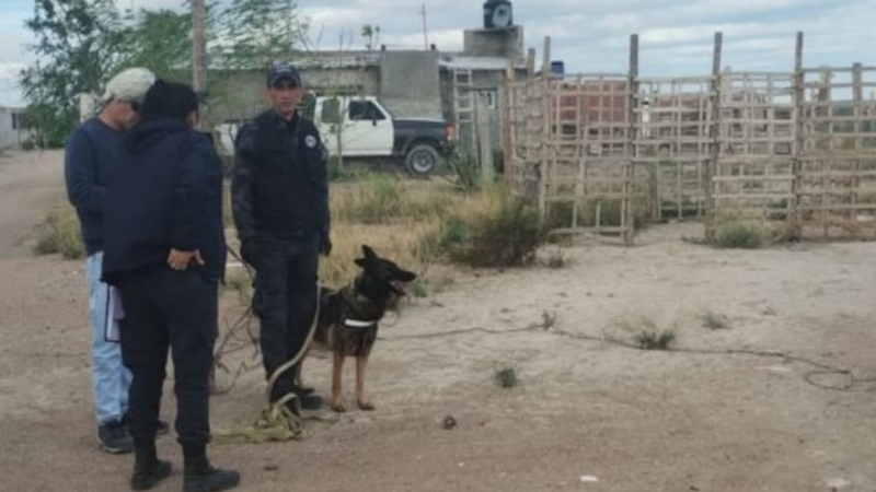 Un repartidor de biblias confesó que mató a una mujer junto a otro hombre
