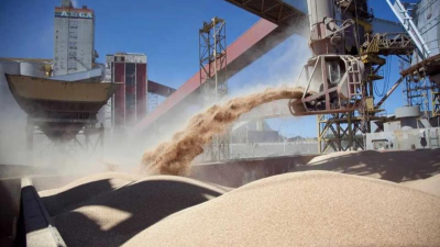 Aceiteras y cerealeras advirtieron sobre una "guerra comercial"