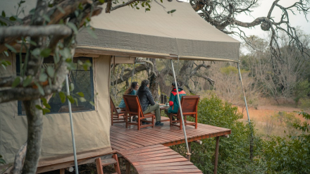 El Impenetrable - Glamping El Bermejito - Ph Horacio Barbieri_Rewilding Argentina.jpg