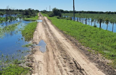 Machagai: preocupación por zonas rurales anegadas y su efecto sobre la ganadería