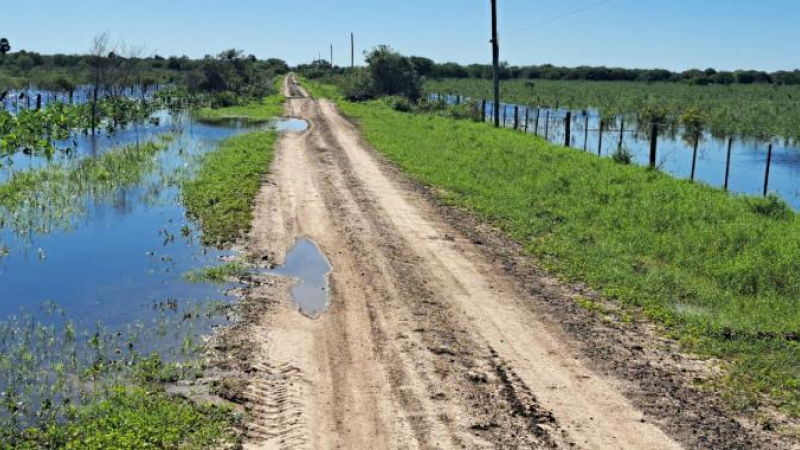 Machagai: preocupación por zonas rurales anegadas y su efecto sobre la ganadería