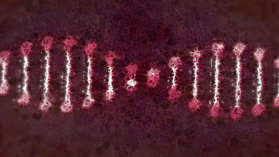 Descubren 25 nuevos genes asociados al Trastorno Obsesivo Compulsivo