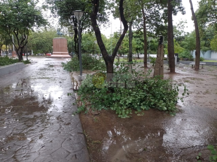 WhatsApp Image 2025-05-27 at 12.57.14.jpeg
