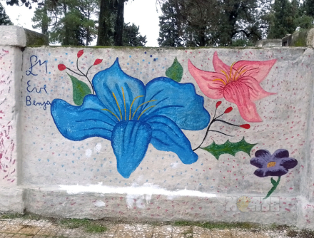 92.jpg