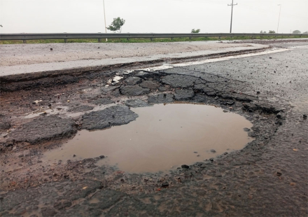 bache.jpg