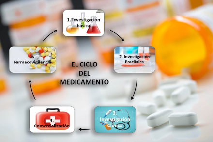 medicam desarr7.jpg