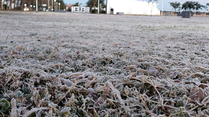 Madrugada helada en Resistencia y alrededores: el termómetro marcó 0°C