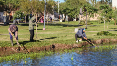 Vecinos destacan el operativo limpieza de "Los carpinchos"