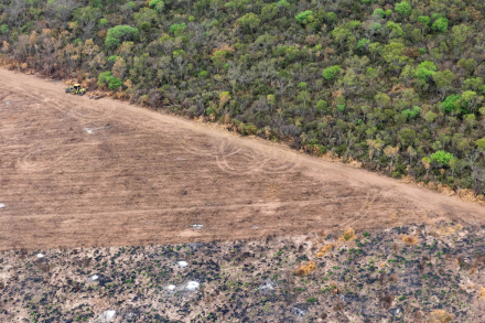 Desmontes SDE 12 © Belen Grosso _ Greenpeace.jpg