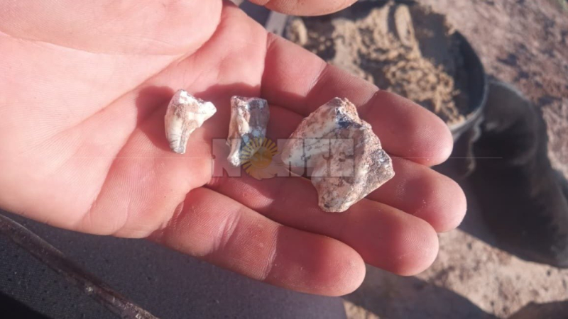 Encuentran restos óseos que podrían ser de animales prehistóricos en Avia Terai