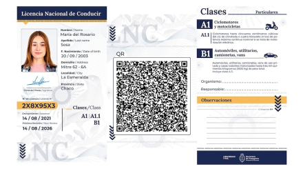 carnet de conducir.jpg