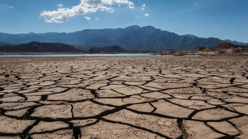 Cambio climático en Argentina: ¿Cómo afecta a nuestra biodiversidad?