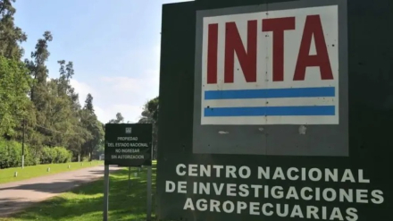 INTA.jpg