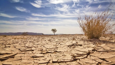 Más de un tercio del suelo argentino está en peligro