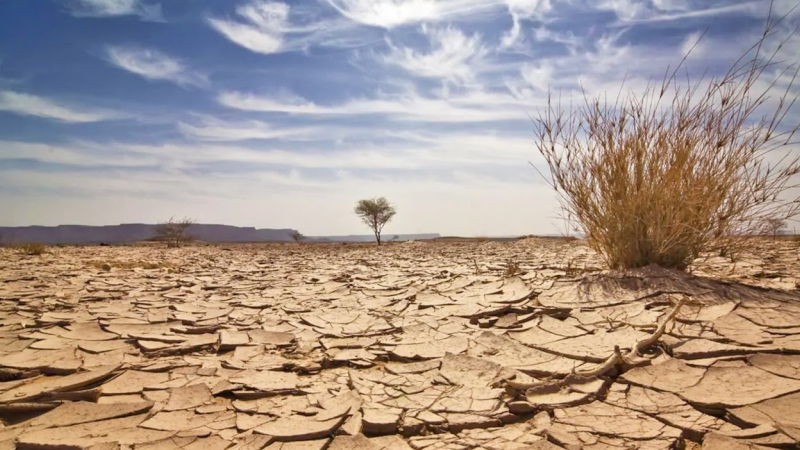 Más de un tercio del suelo argentino está en peligro