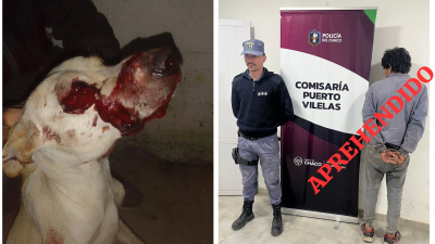 Un joven detenido por atacar con una gomera al perro de su vecina