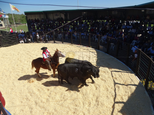 Foto: Fabian Maldonado.
