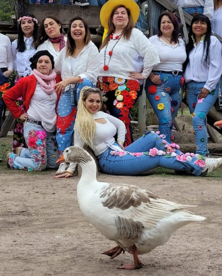 ganso.jpg