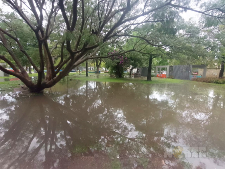 lluvia6.jpg