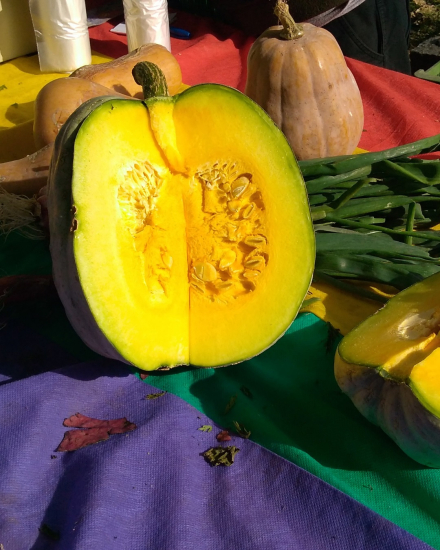Agronomía_2.jpg