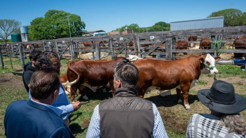 Zdero ratificó compromiso con la producción en destacada cita ganadera