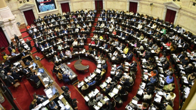 Una victoria parcial de Milei