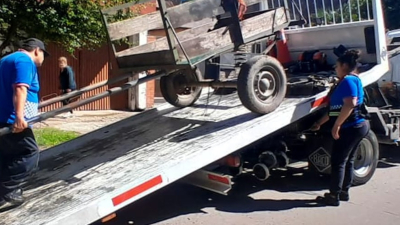 Rescataron a otro caballo del maltrato en Resistencia