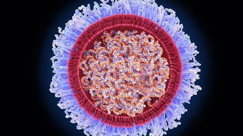Vacunas contra el Covid podrían ayudar a tratar el cáncer
