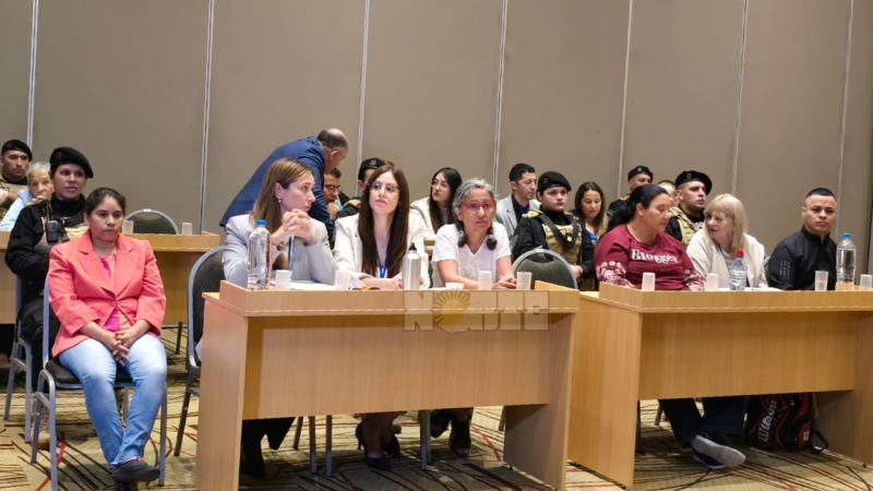 Avanza la conformación del jurado popular del caso Cecilia Strzyzowski