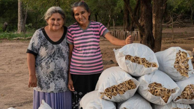 Harina de algarroba: producto estrella de El Impenetrable que conquista mercados