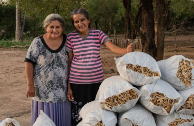Harina de algarroba: producto estrella de El Impenetrable que conquista mercados