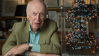 Murió James Watson, descubridor de la estructura del ADN
