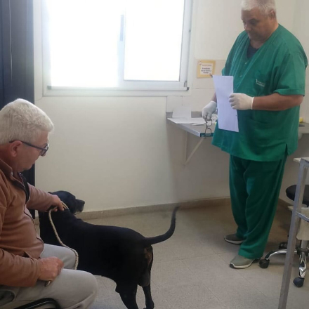 perrito.jpg
