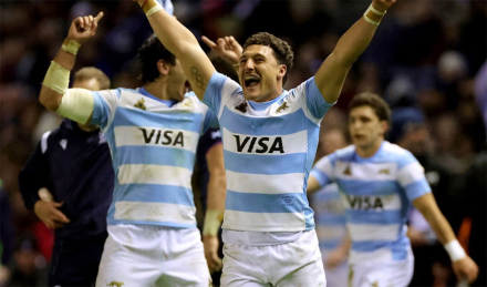 pumas.jpg
