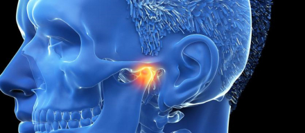 mandibula.jpg