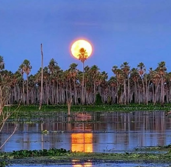 Uno de los paisajes cercanos, Bañado la Estrella, en Formosa.